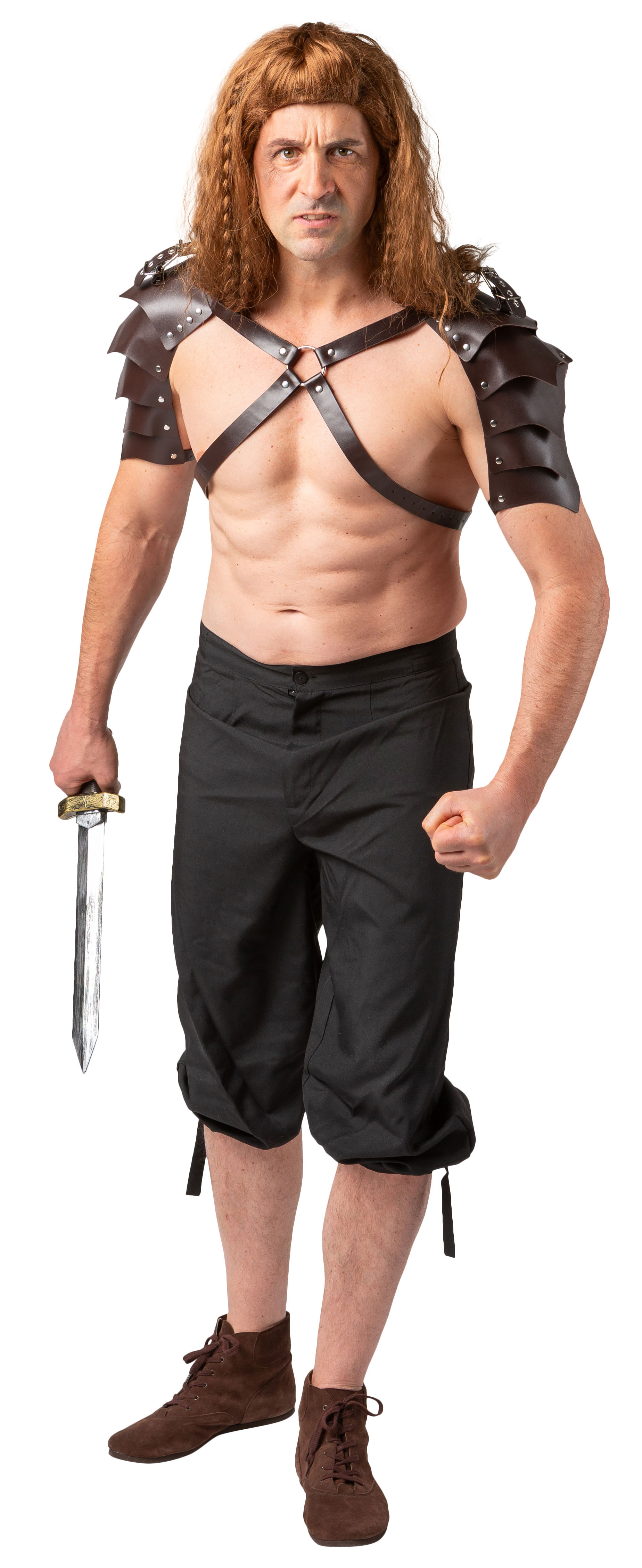 Protektoren Vikinger