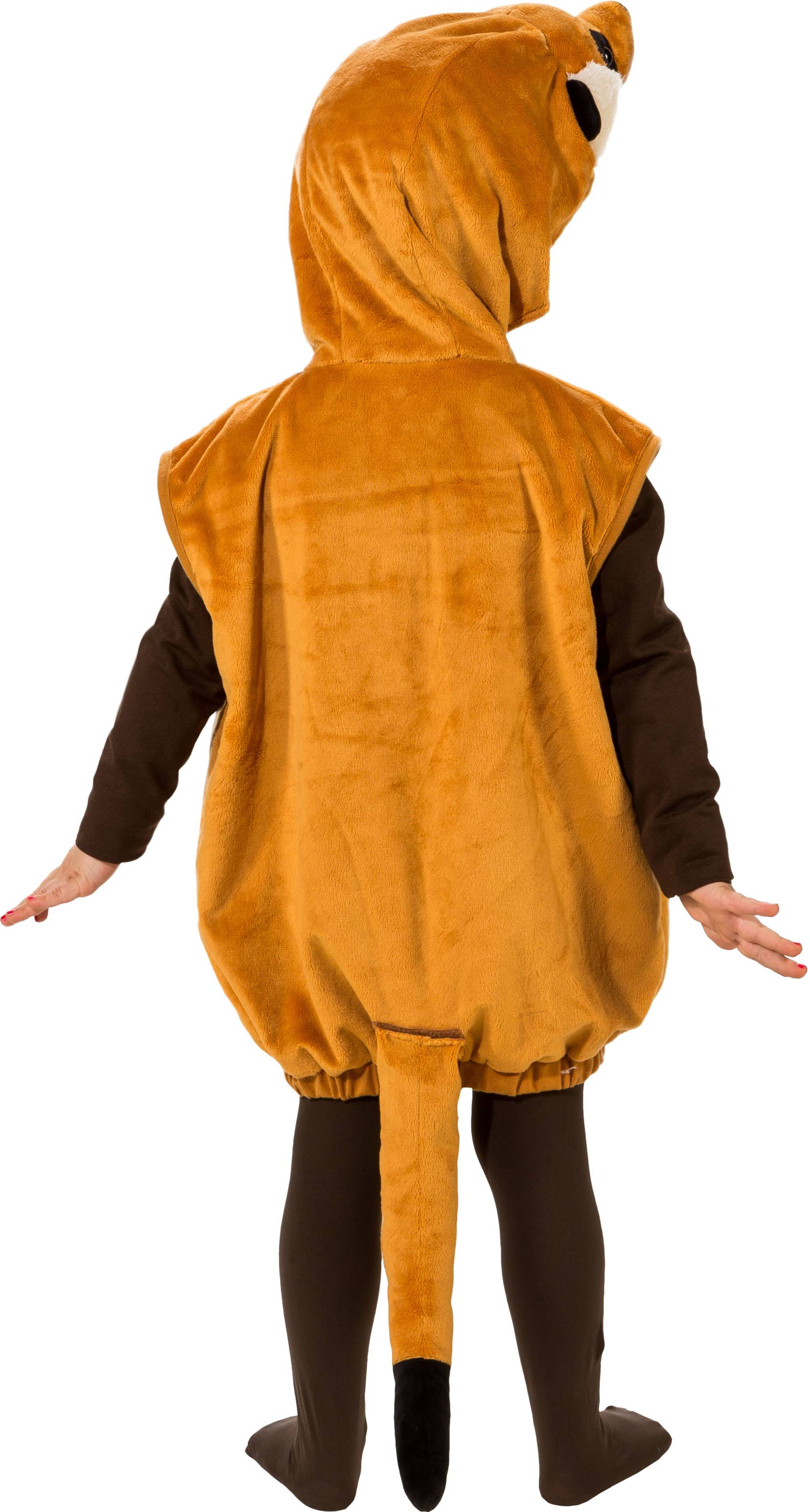 Weste Erdmännchen