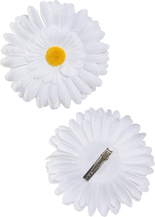 Clip-on Flowers Set of 2