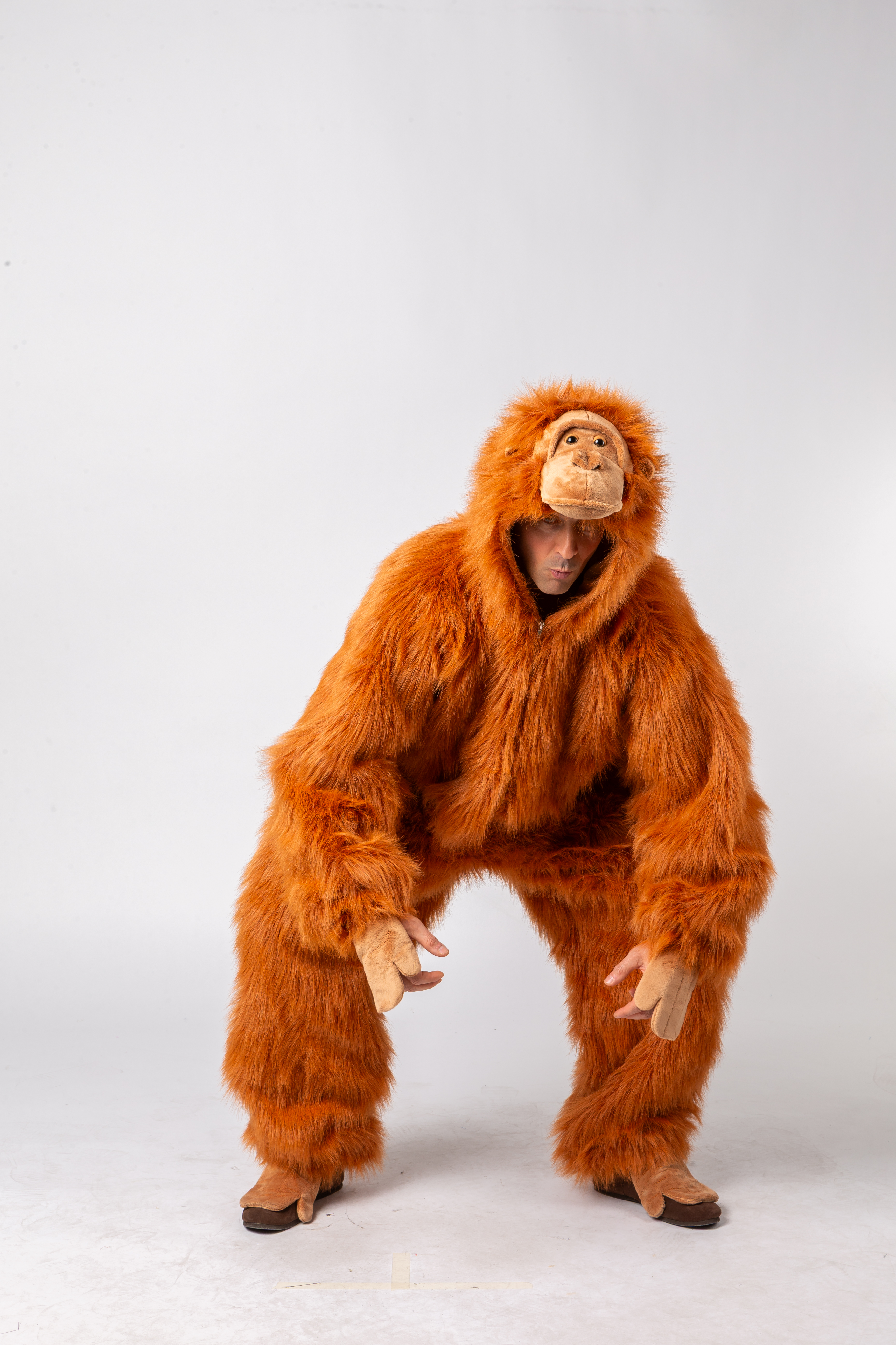 Orang-Utan Orang-Utan