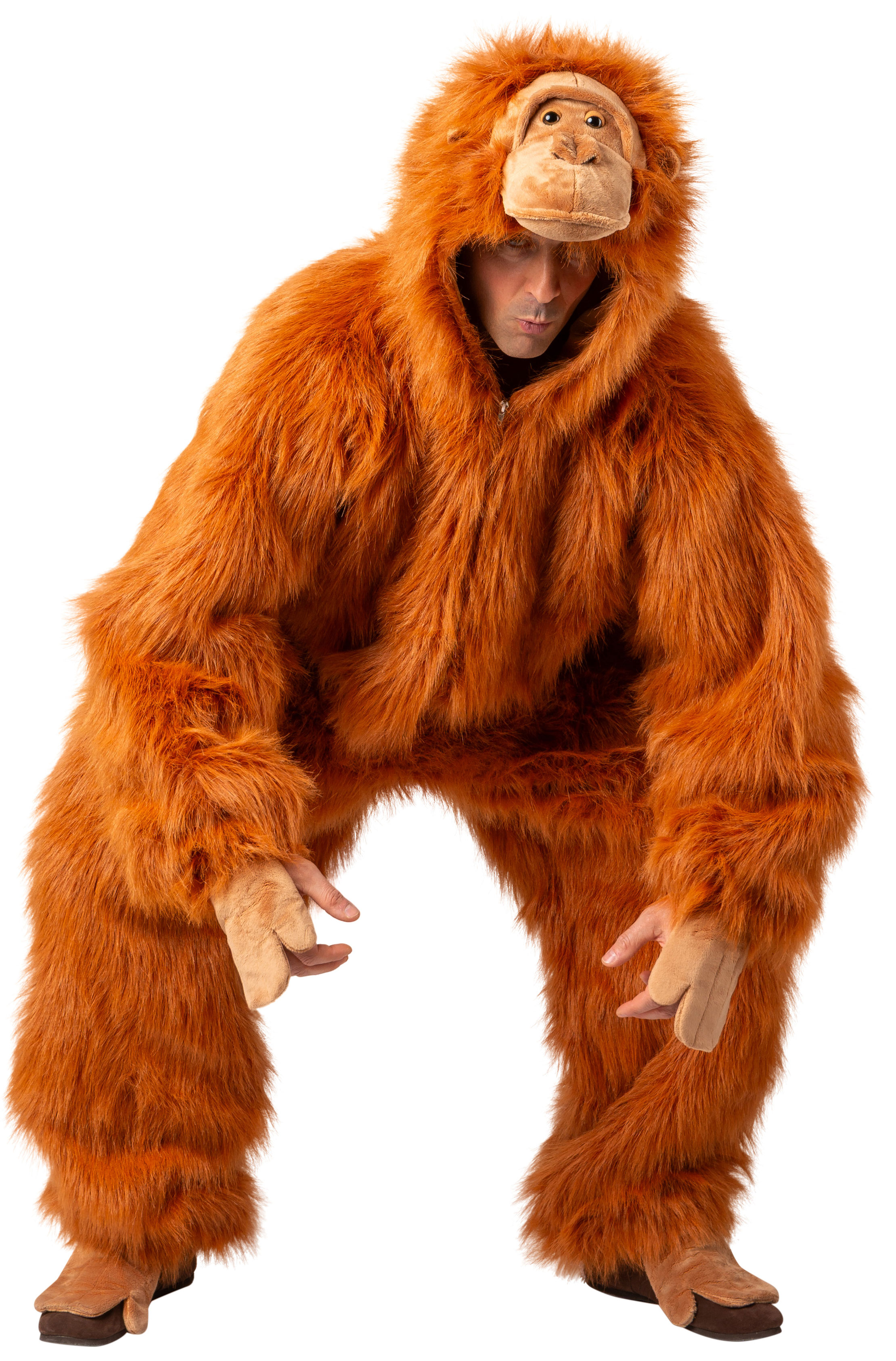 Orang-Utan 