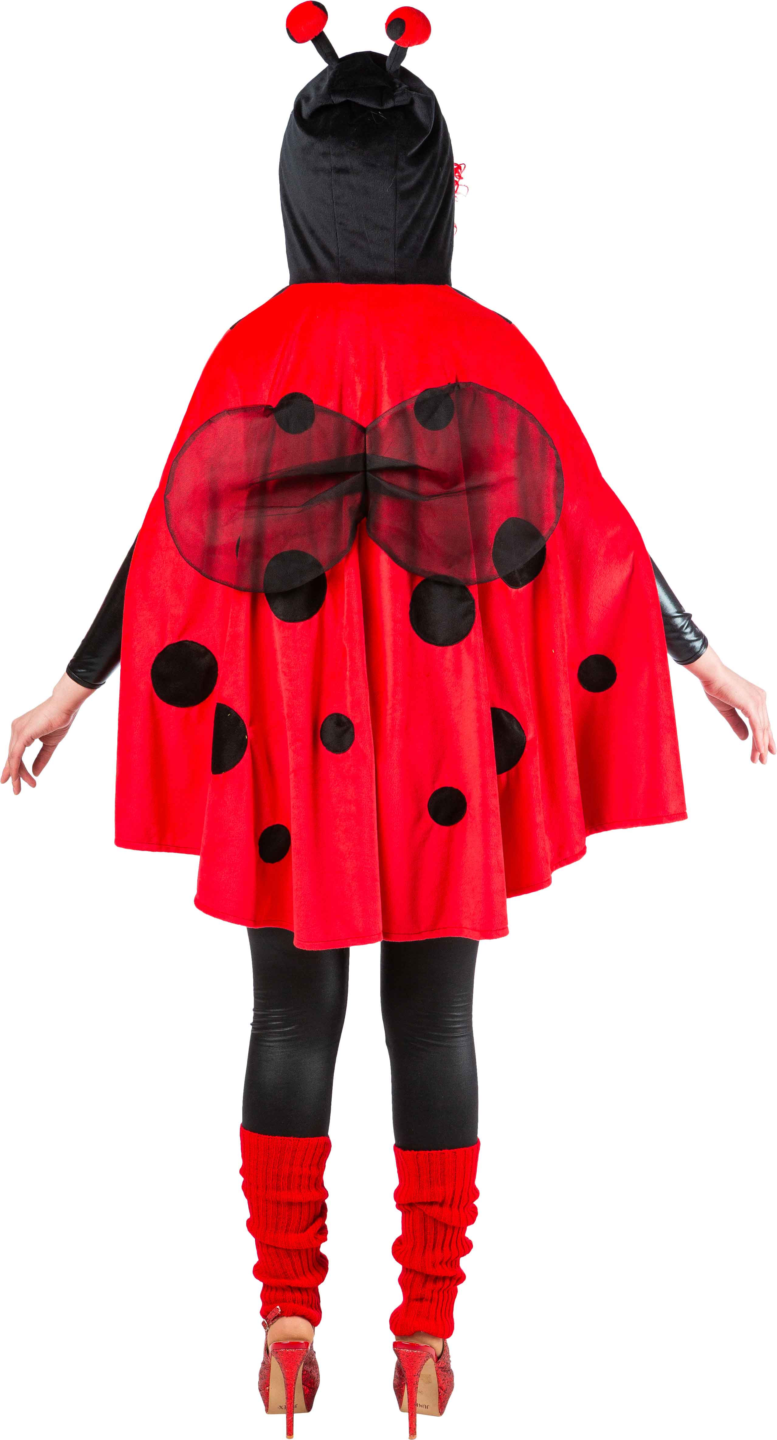 Animal poncho, ladybird