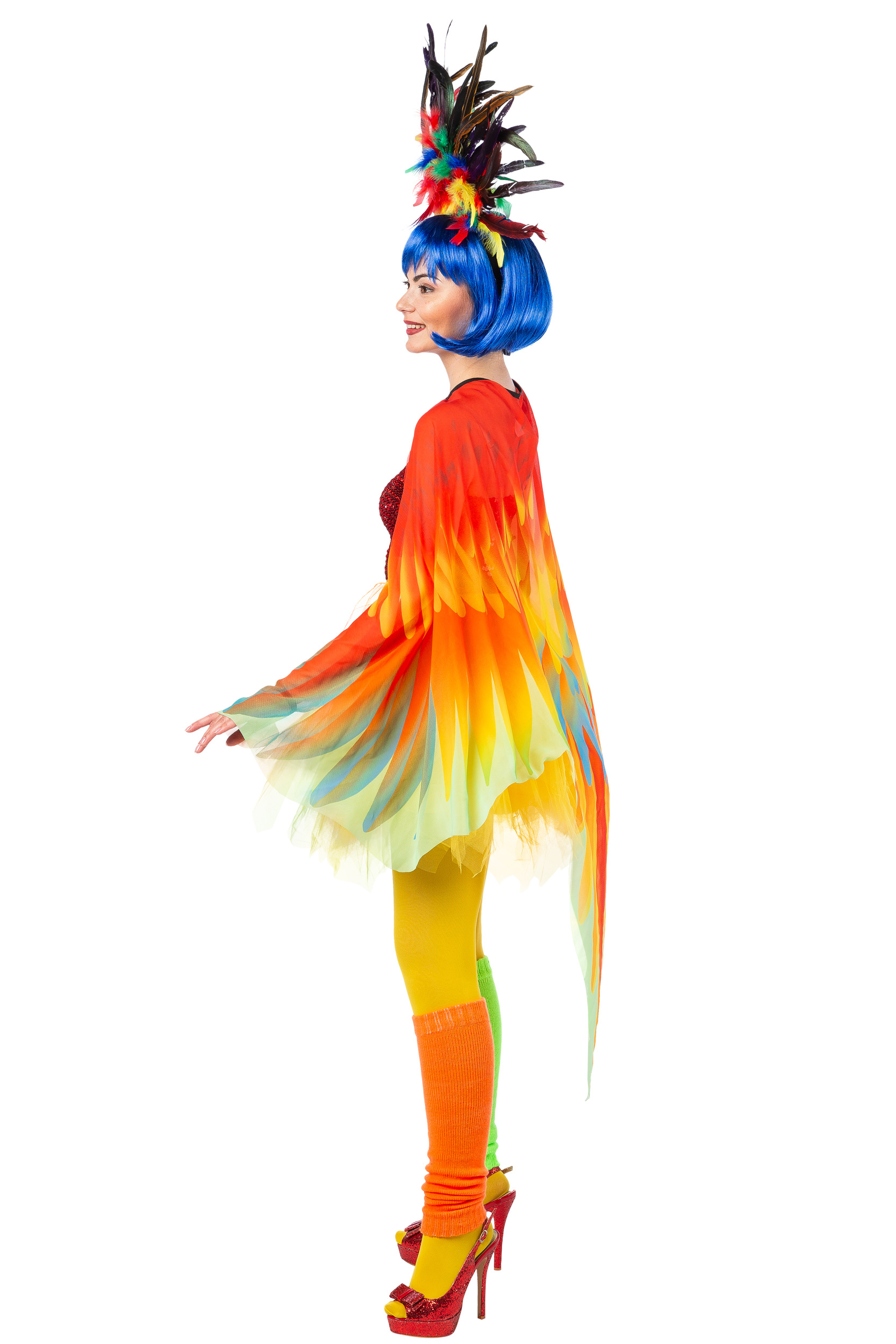 Cape Parrot, colorful 