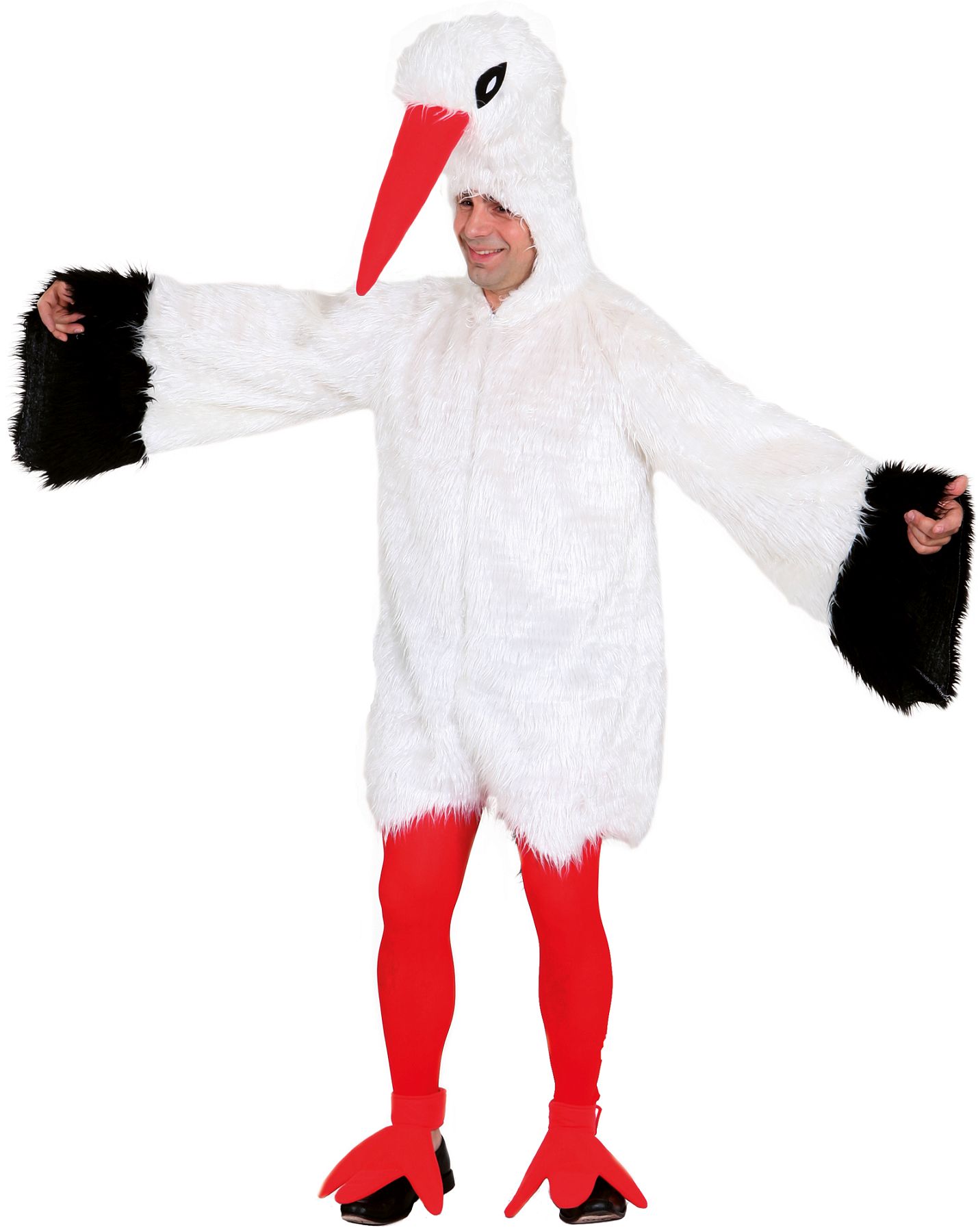 Storch 