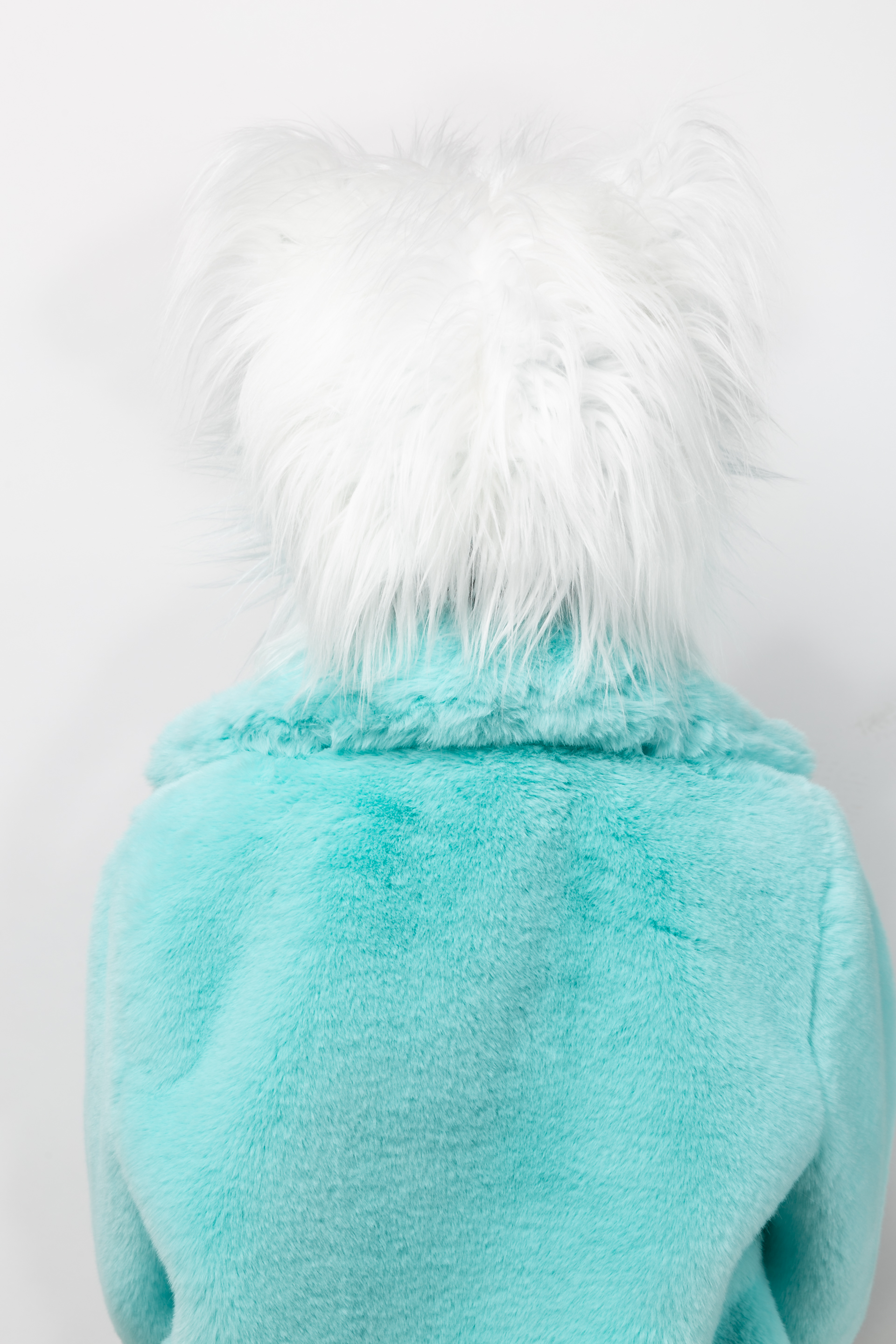 plush hat shaggy, snow fox 
