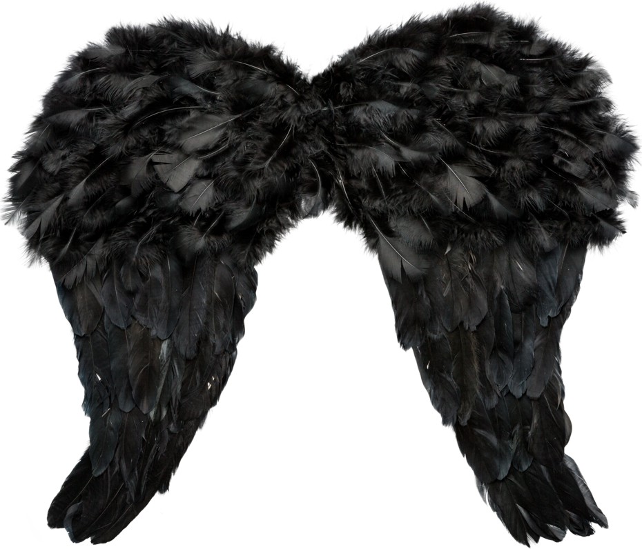 Feather wings, black