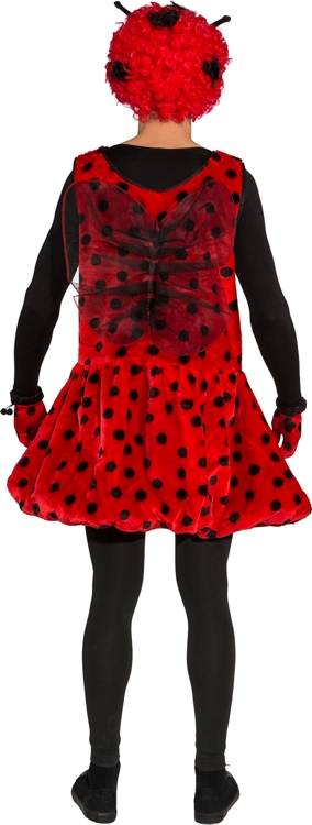 Coccinelle pour hommes