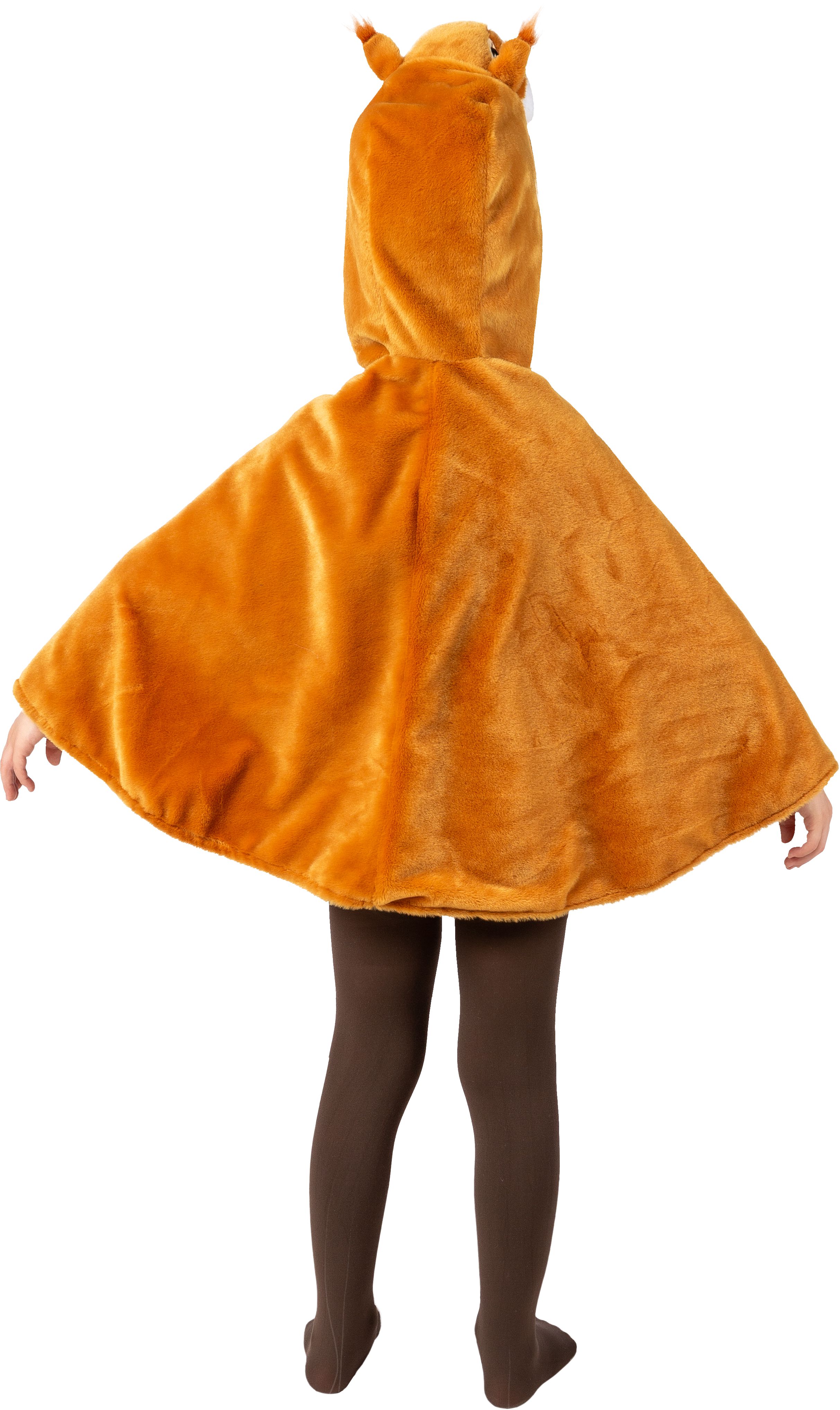 Eichhörnchen Cape 104