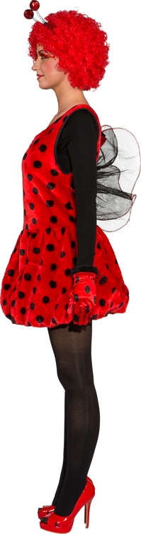 Coccinelle pour dames