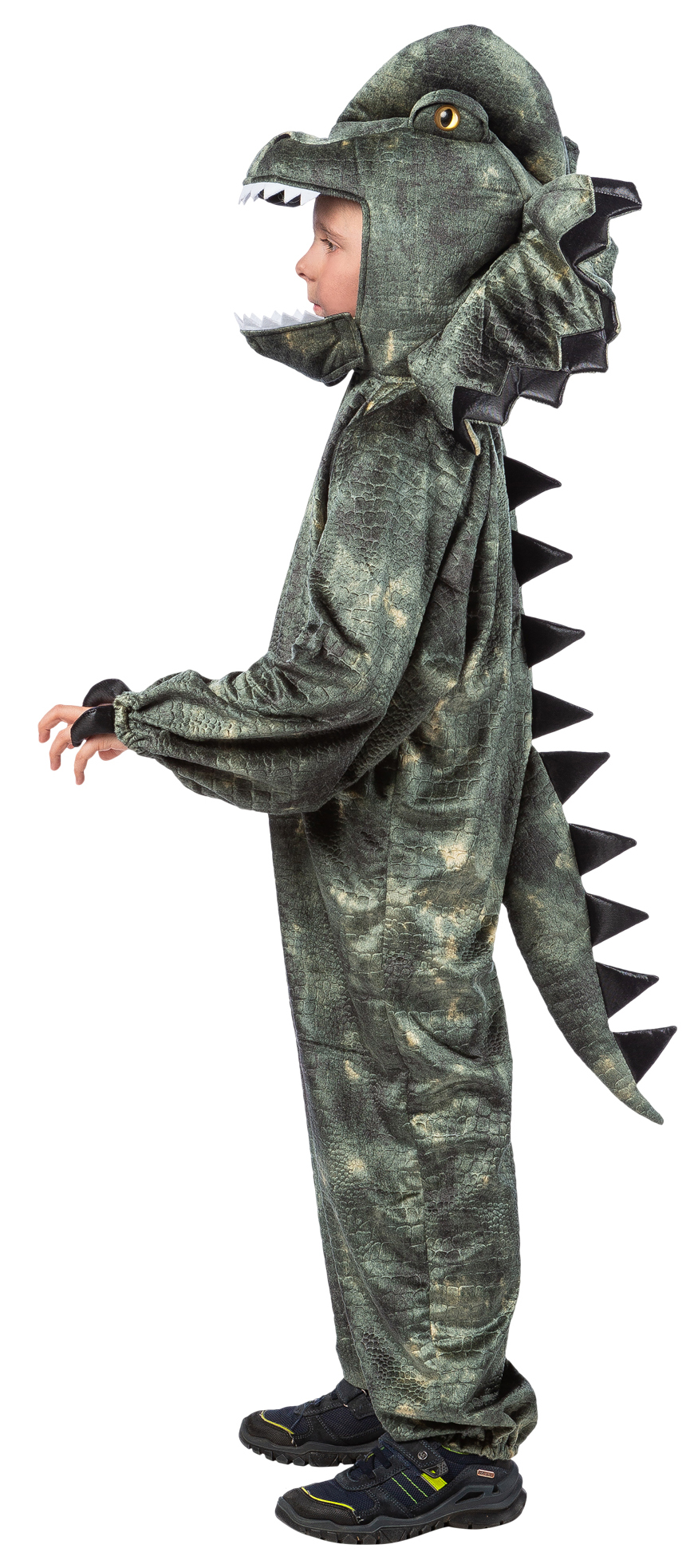 Overall Dilophosaurus 104
