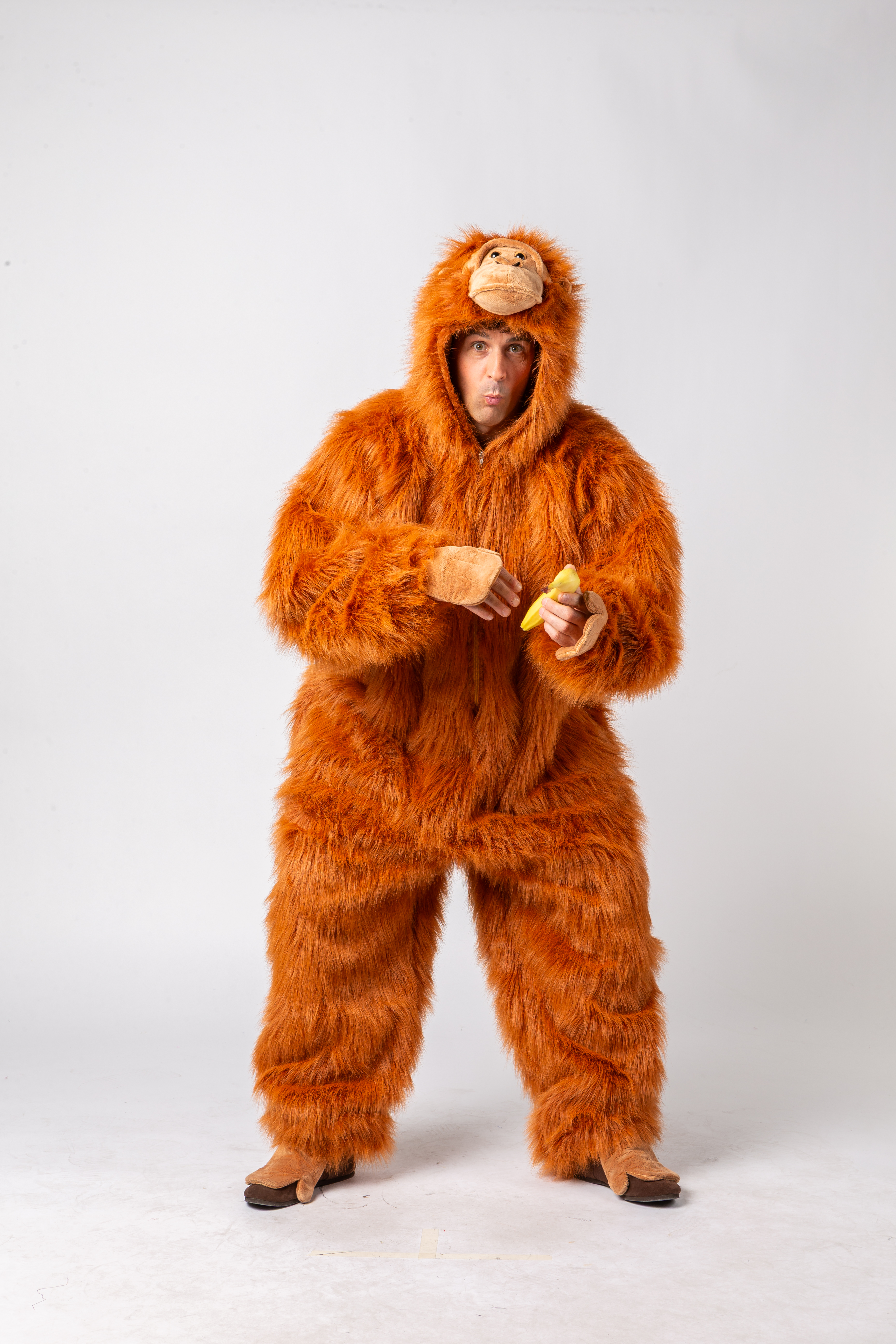 Orang Utan