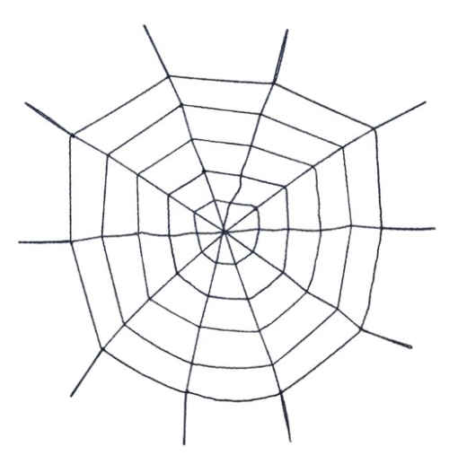 Spider's net - Sale