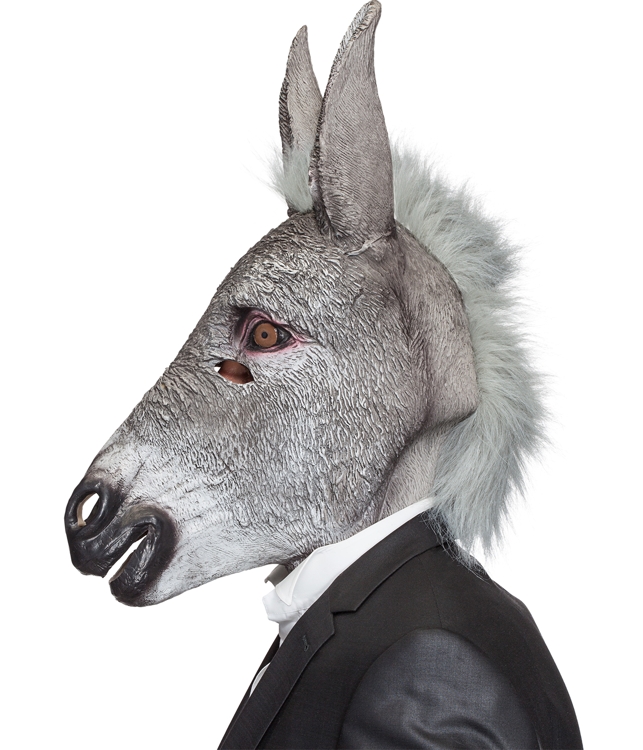 Mask, Donkey