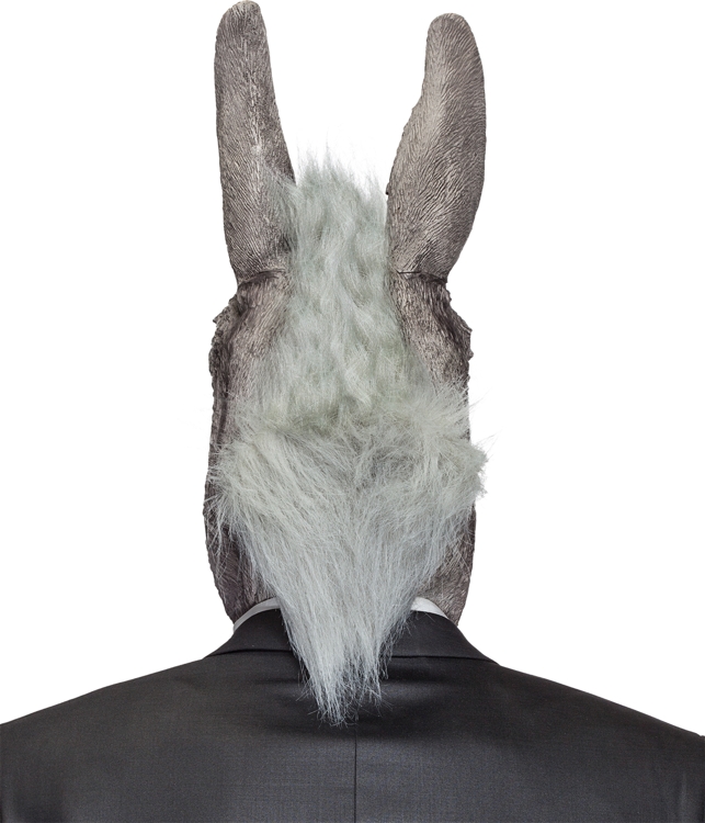 Mask, Donkey