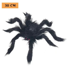 Spinne haarig schwarz