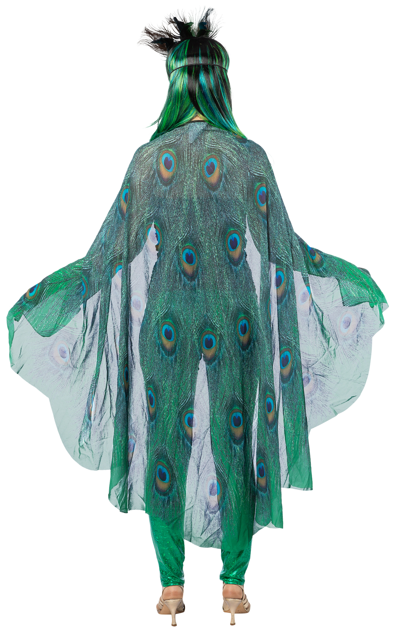 Cape Peacock, colourful 