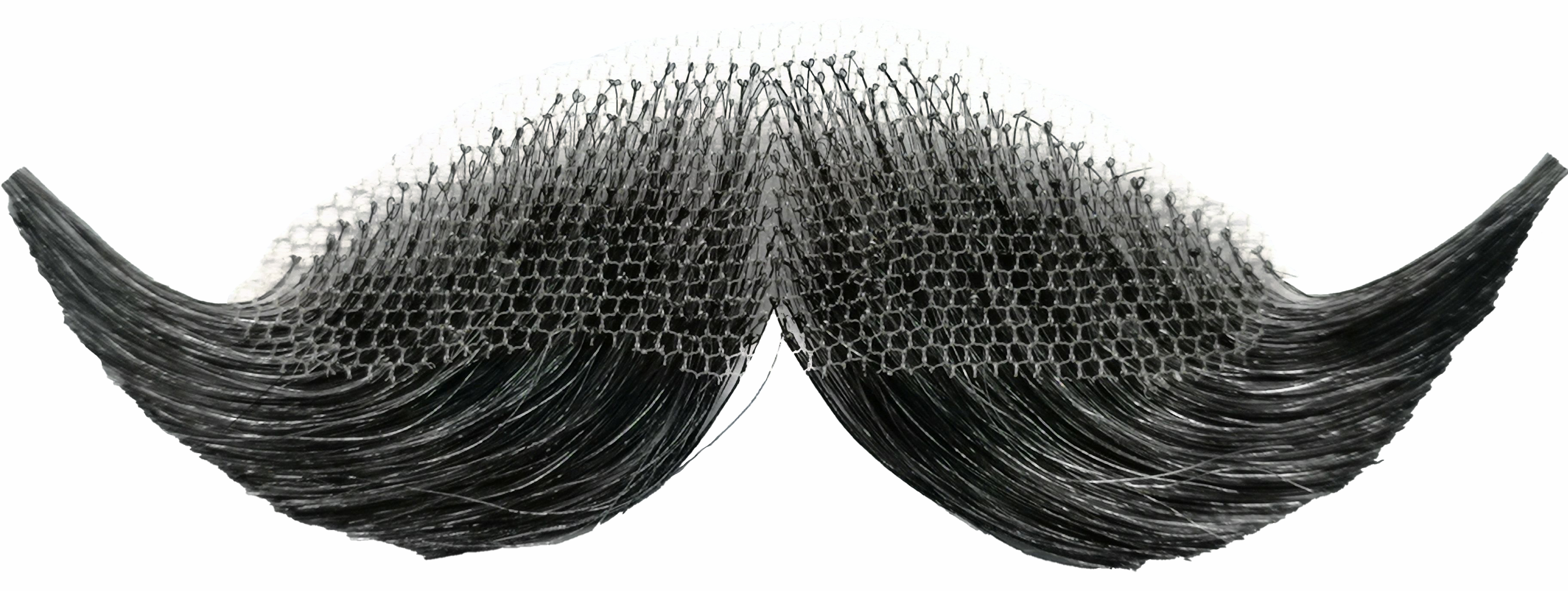 Mustache, grey