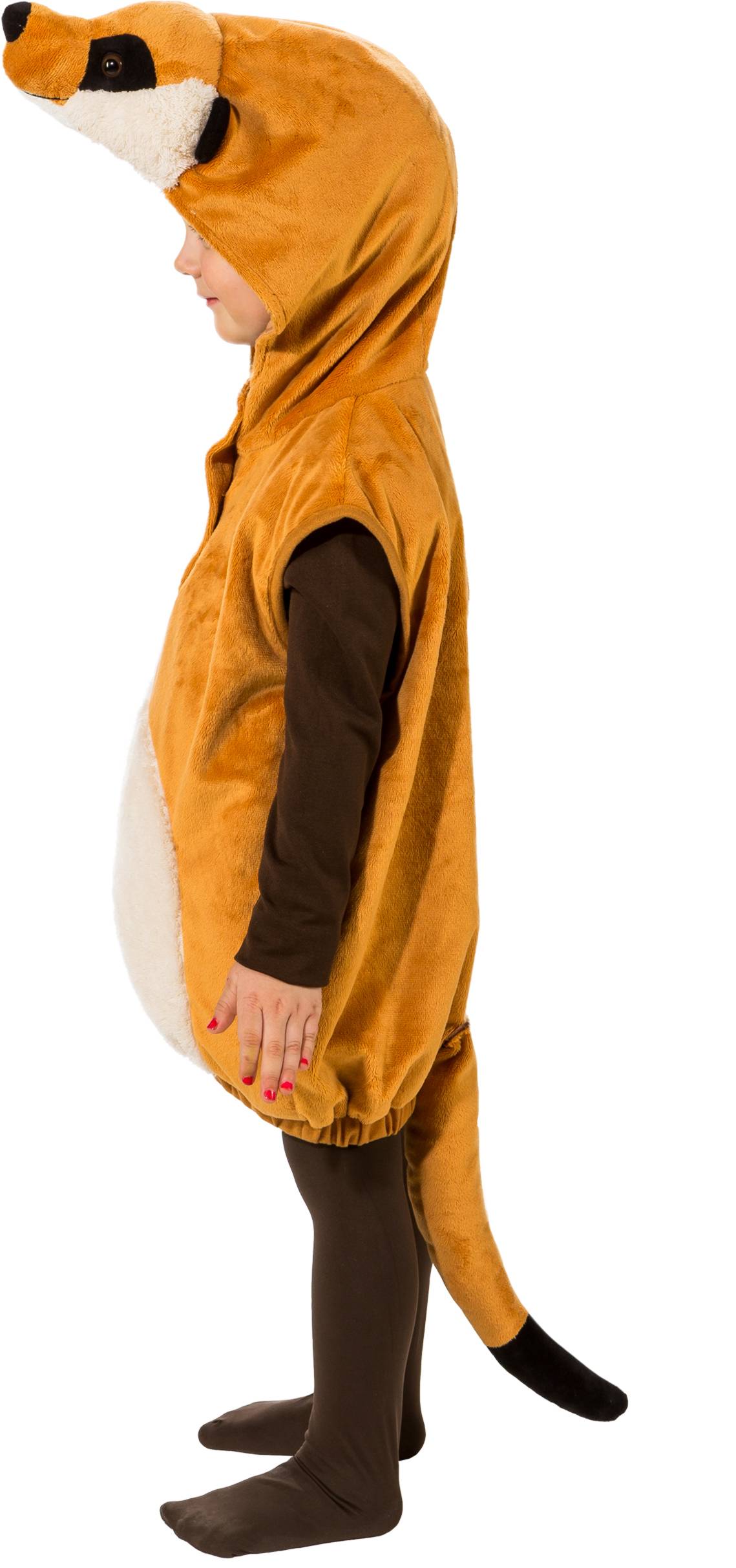 Weste Erdmännchen