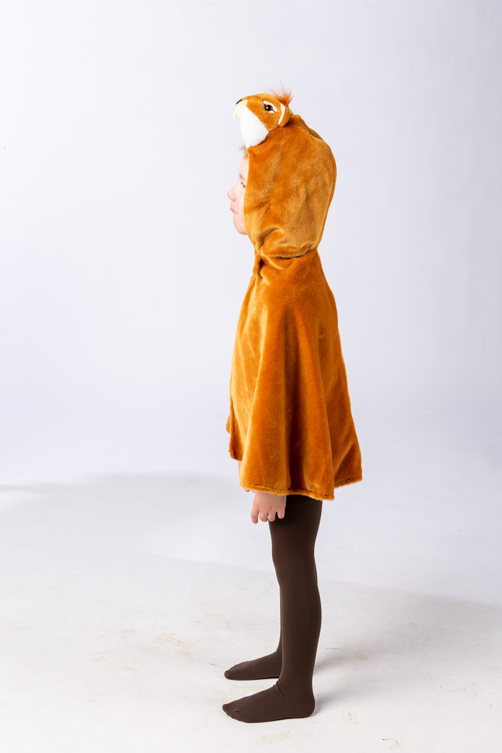 Eichhörnchen Cape 104
