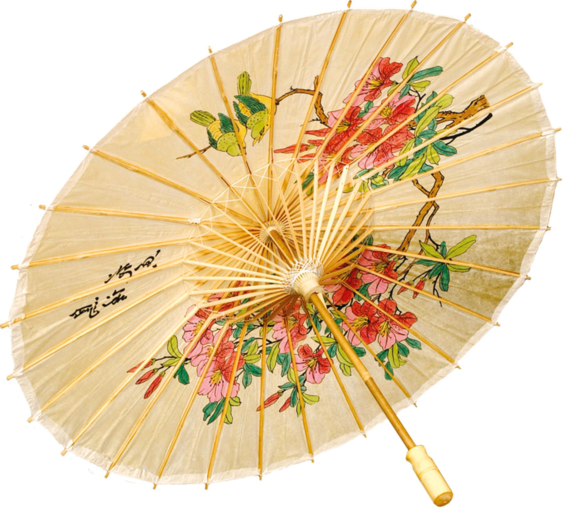 Chinese umbrella