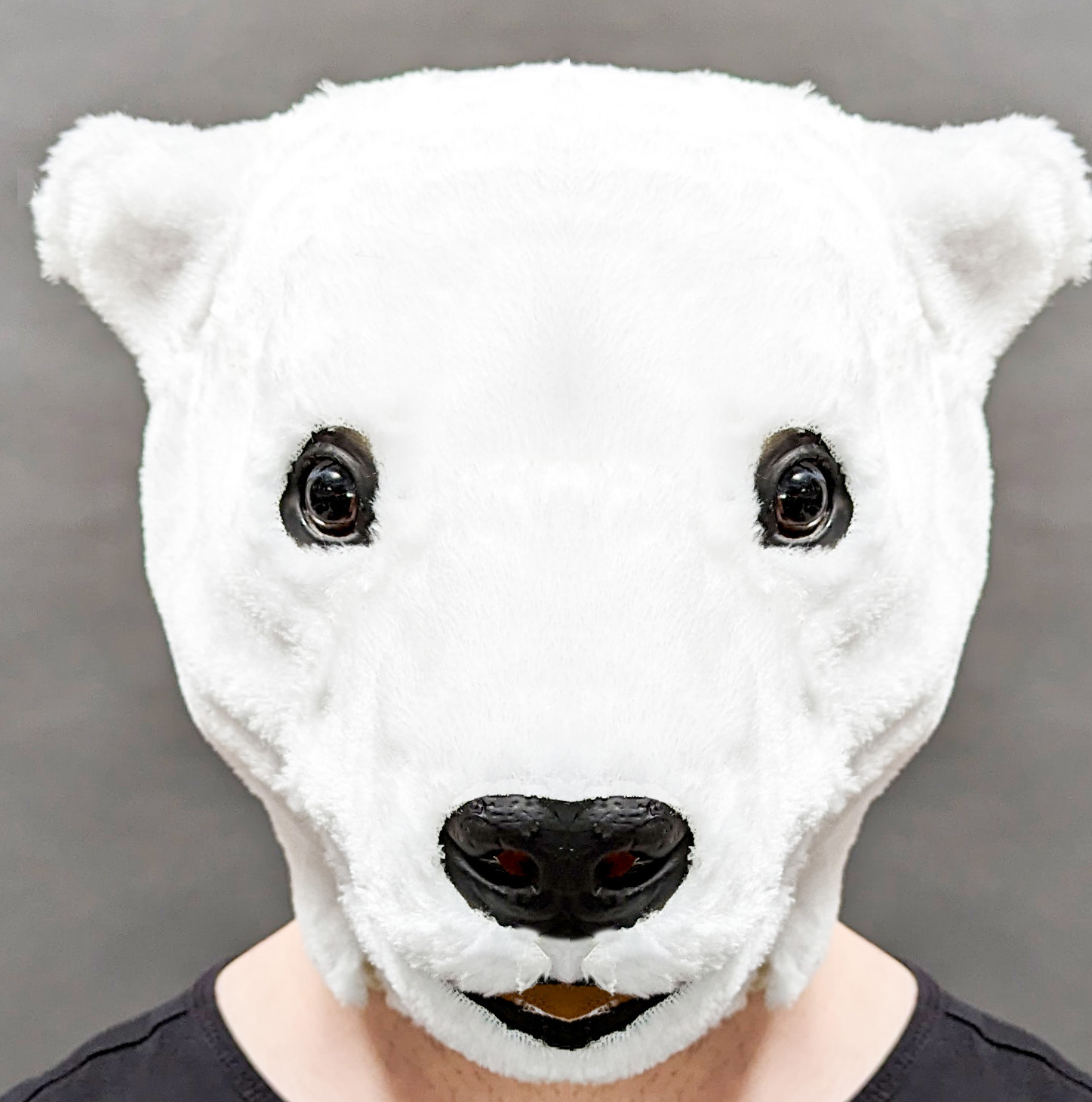 Polar bear mask