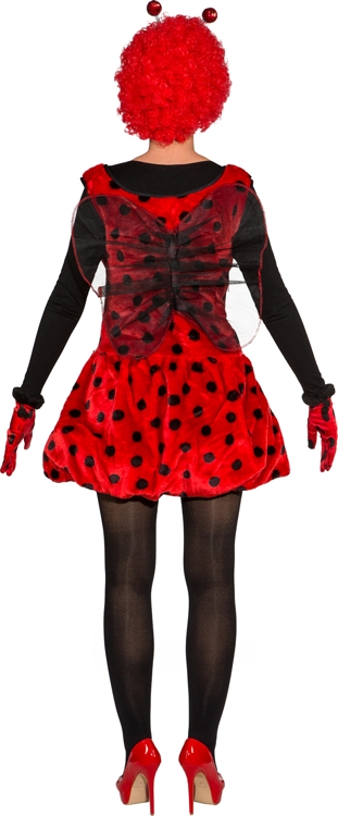 Coccinelle pour dames