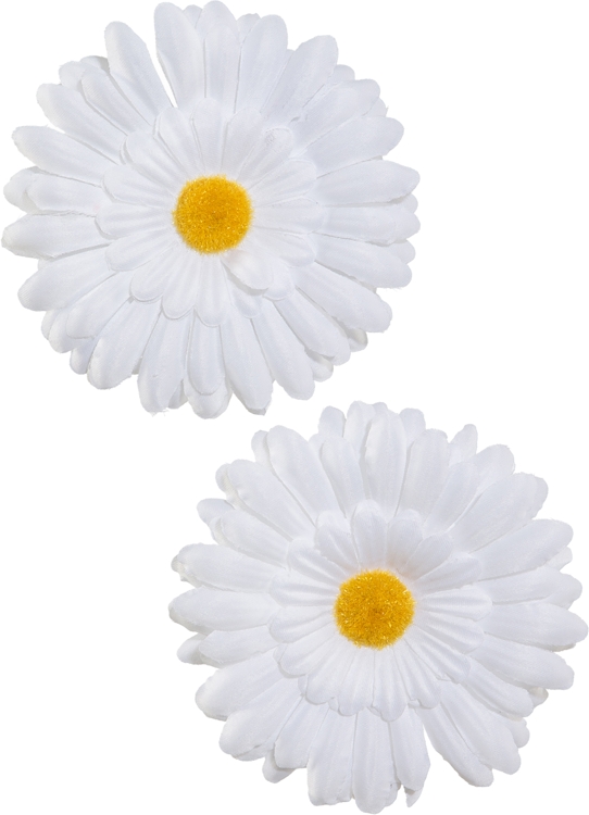 Clip-on Flowers Set of 2