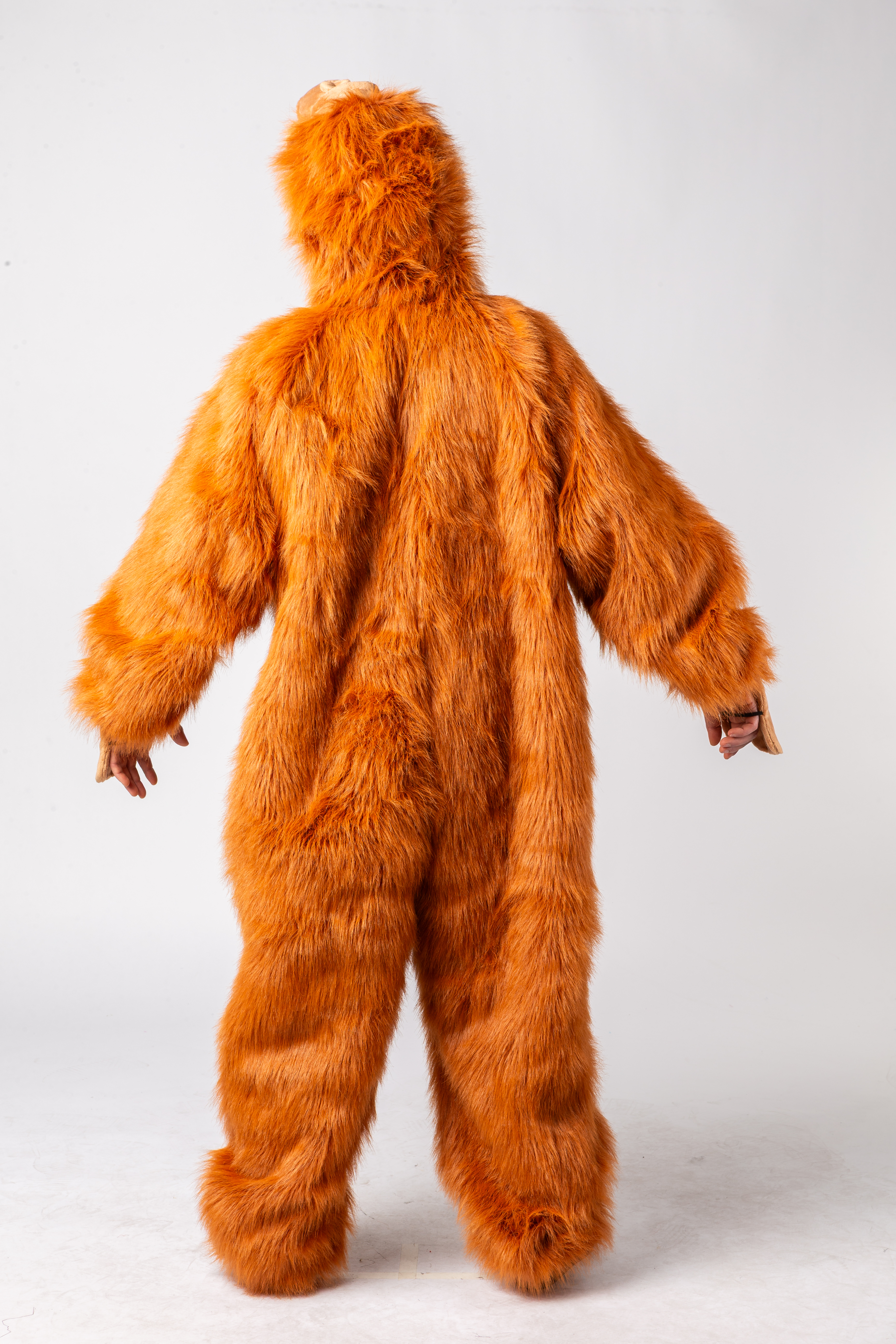 Orang-Utan Orang-Utan