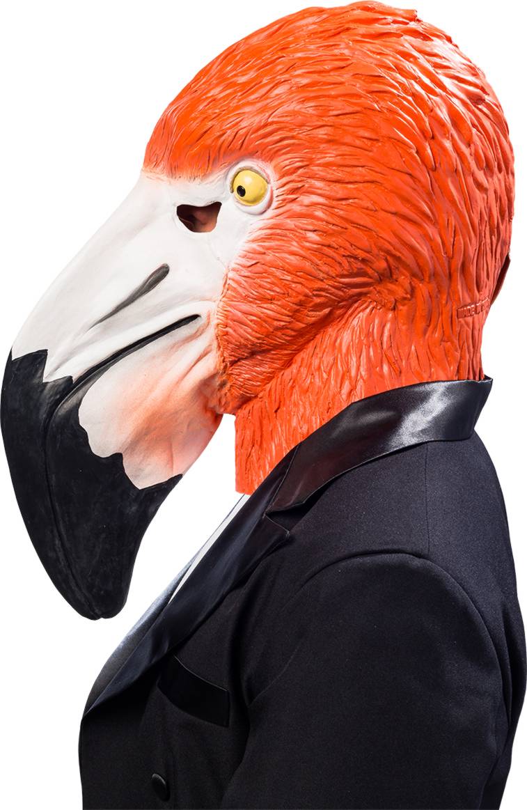 Mask, Flamingo