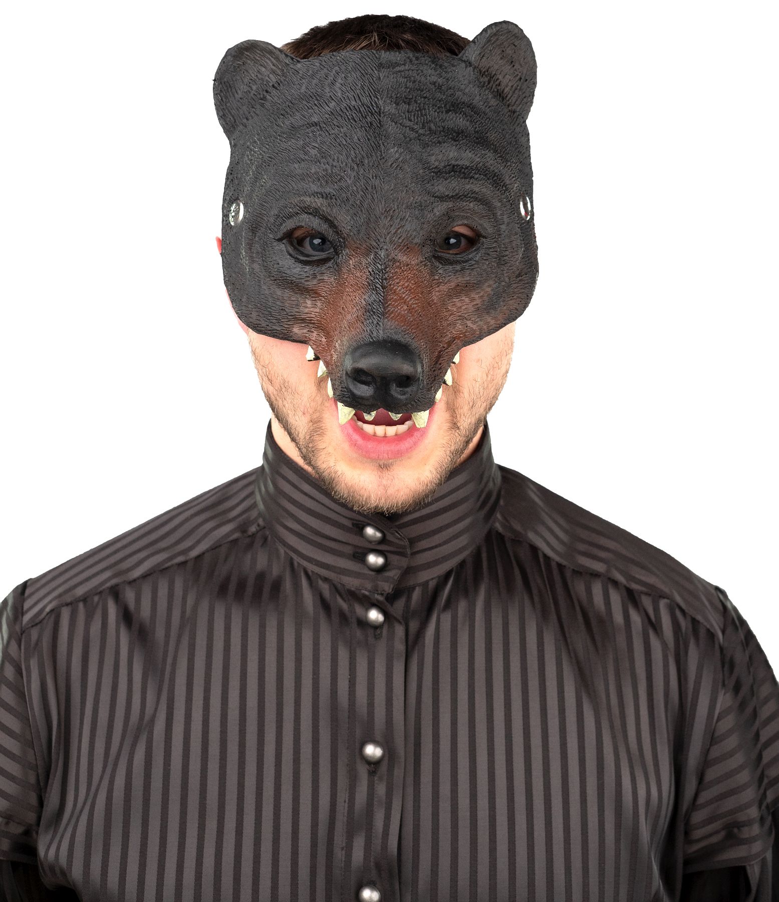 Mask bear, dark-brown