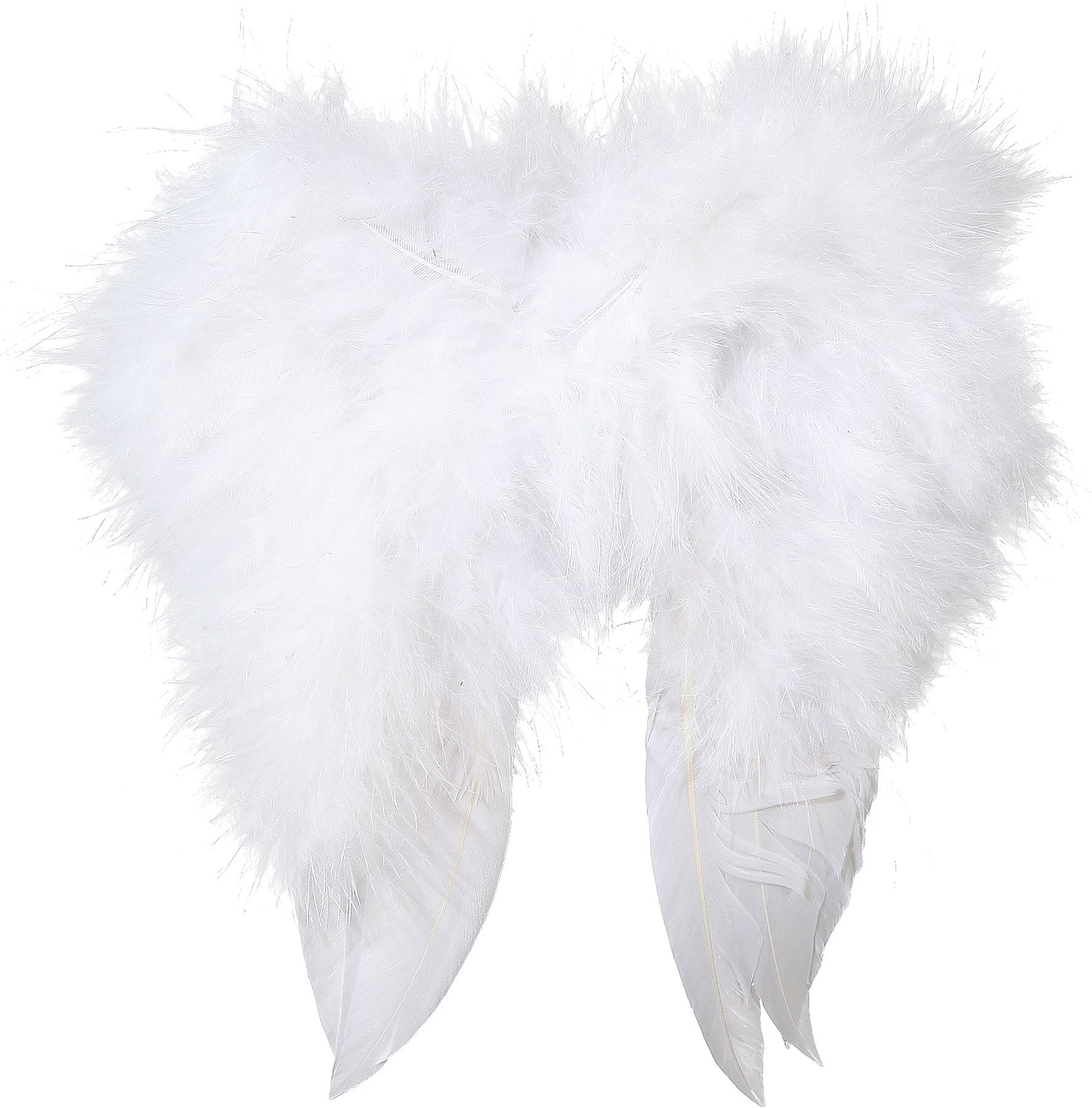 Mini ailes en plumes, blanc