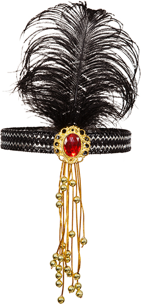 Charleston ribbon black with stone and feather