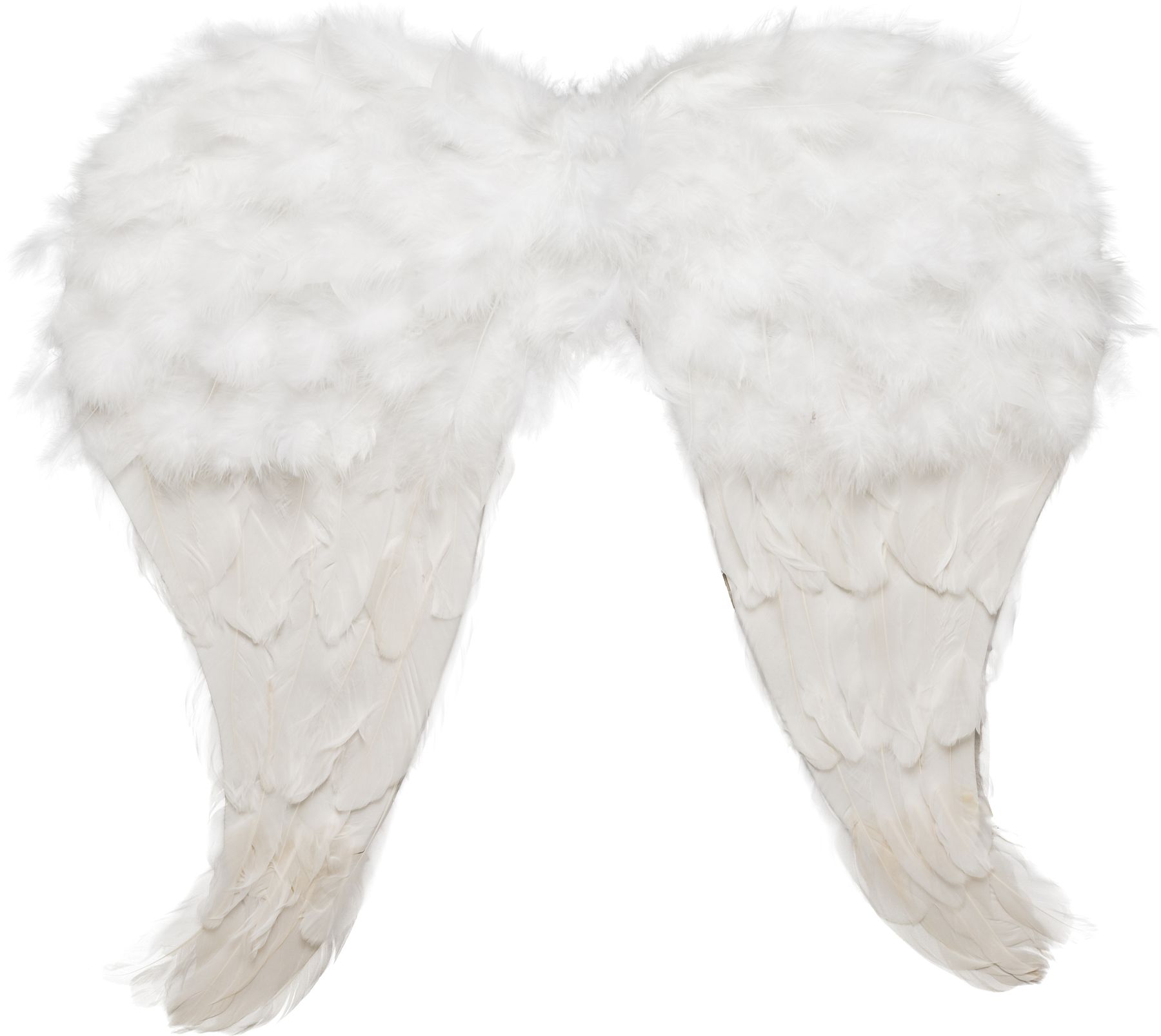 Angel feather wings, white
